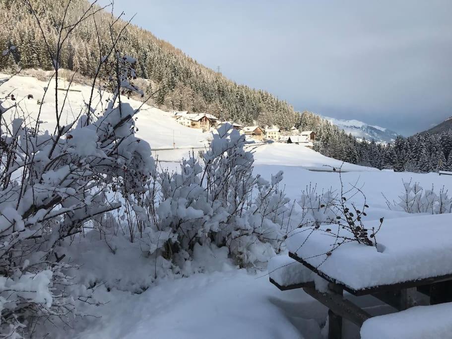 ヴェルミーリオ Chalet Rustico Bertolini Per Gruppi!ヴィラ エクステリア 写真