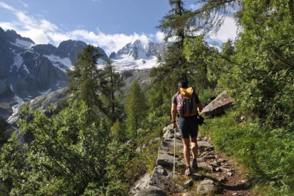 ヴェルミーリオ Chalet Rustico Bertolini Per Gruppi!ヴィラ エクステリア 写真