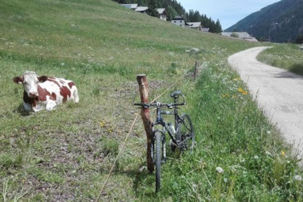 ヴェルミーリオ Chalet Rustico Bertolini Per Gruppi!ヴィラ エクステリア 写真