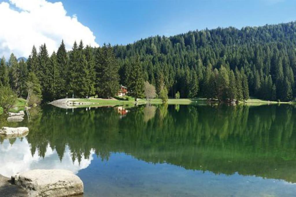 ヴェルミーリオ Chalet Rustico Bertolini Per Gruppi!ヴィラ エクステリア 写真