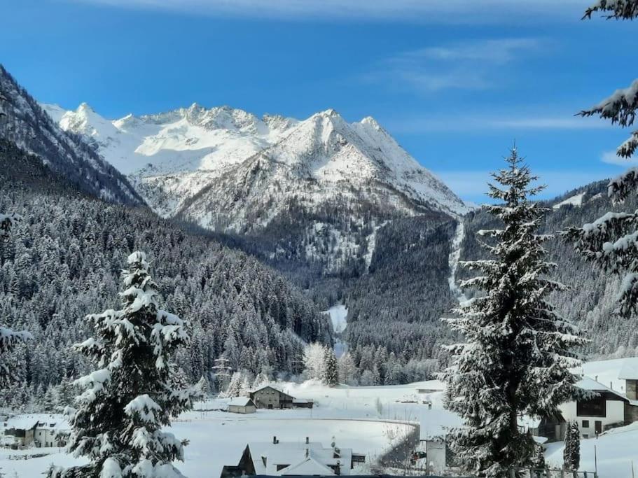 ヴェルミーリオ Chalet Rustico Bertolini Per Gruppi!ヴィラ エクステリア 写真